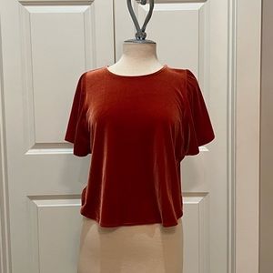 EUC Madewell Rust “Velvet” Shirt Small